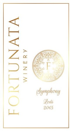 2019 Symphony