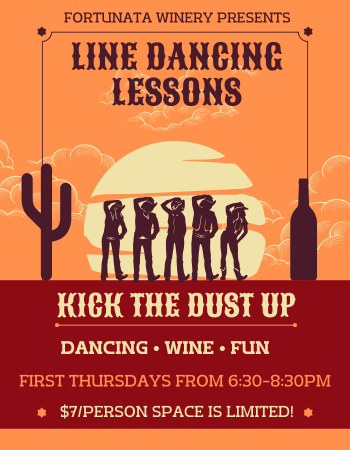 Line Dancing Lesson