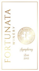 2019 Symphony